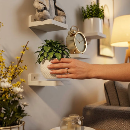 Floating Wall Shelves