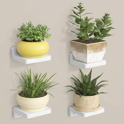 Floating Wall Shelves