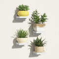 Floating Wall Shelves